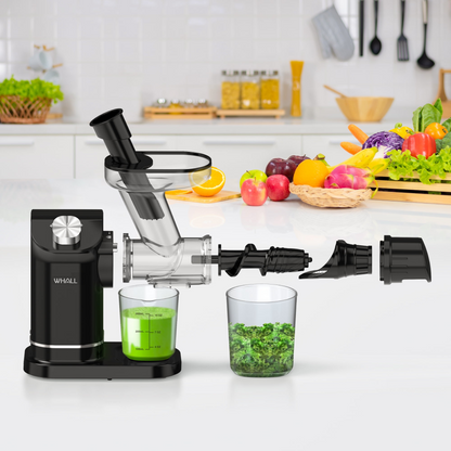 WHALL Cold Press Juicer, Masticating Slow Juicer Vegetable and Fruit, Juicers with Quiet Motor & Reverse Function, Easy to Clean with Brush